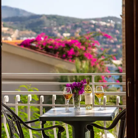 Korsan Kalkan